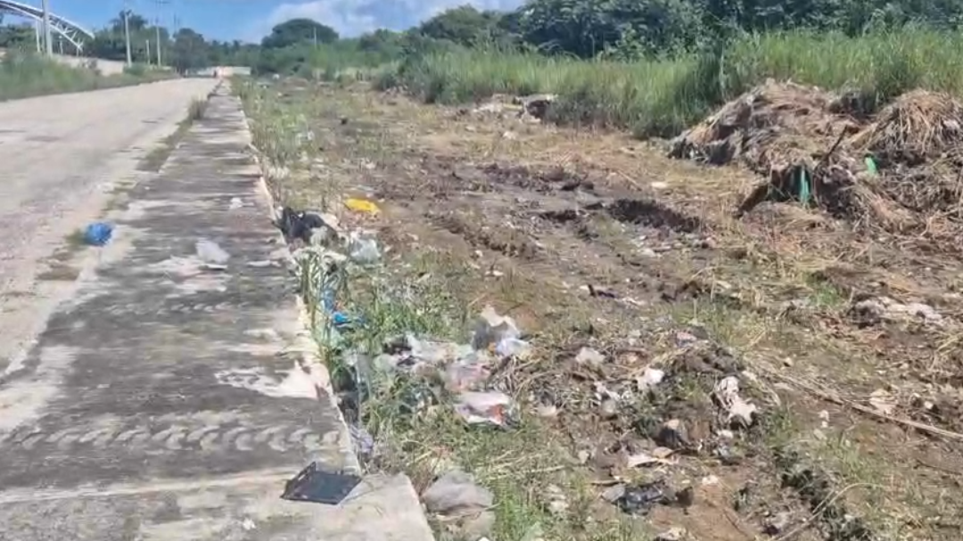Basura a la vista, soluciones ausentes