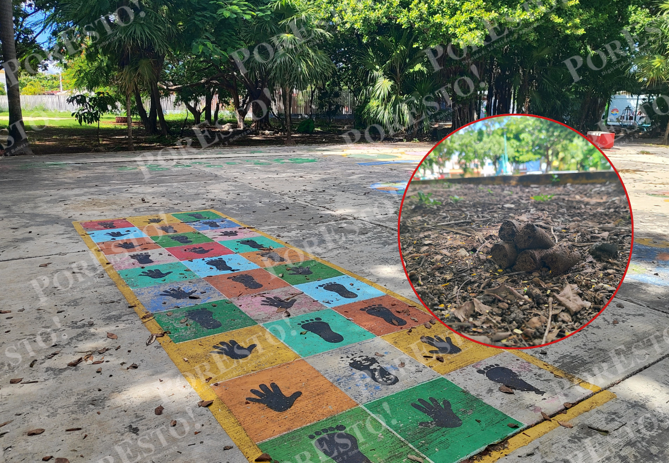 Amas de casa pidieron a dueños de mascotas responsabilizarse de sus animales y a las autoridades exigieron contenedores