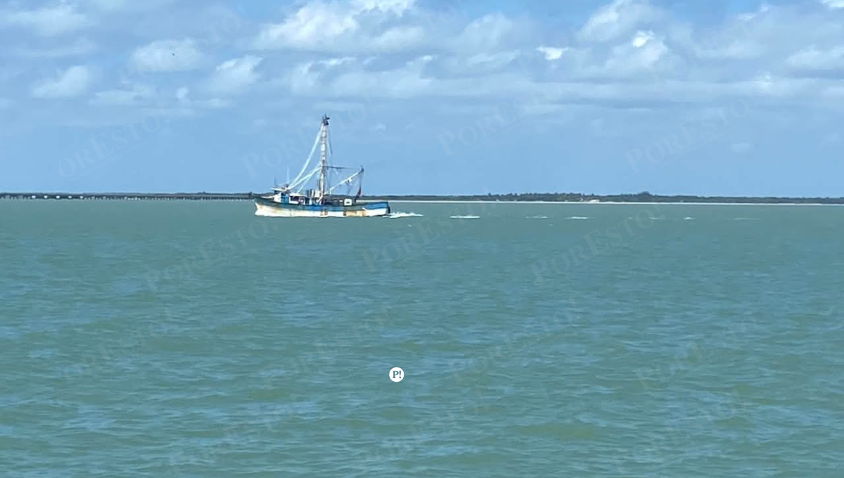 Campeche: líderes pesqueros denuncian abandono institucional y crisis en altamar Campeche: líderes pesqueros denuncian abandono institucional y crisis en altamar