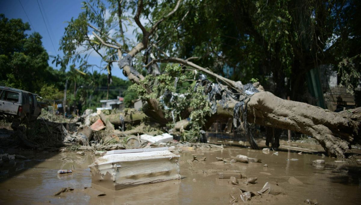 De acuerdo con el reporte oficial del Gobierno federal, las lluvias han dejado un saldo de 29 personas fallecidas en Veracruz De acuerdo con el reporte oficial del Gobierno federal, las lluvias han dejado un saldo de 29 personas fallecidas en Veracruz