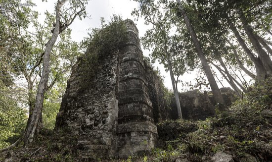Río Bec representa un tesoro oculto del mundo maya, preservado por la selva y con gran potencial para el turismo cultural Río Bec representa un tesoro oculto del mundo maya, preservado por la selva y con gran potencial para el turismo cultural