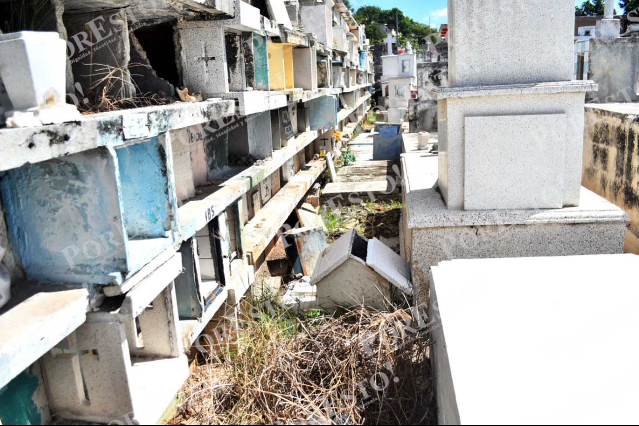 Campeche necesita cuidar sus espacios: ¡los parques y panteones están tristes! Campeche necesita cuidar sus espacios: ¡los parques y panteones están tristes!