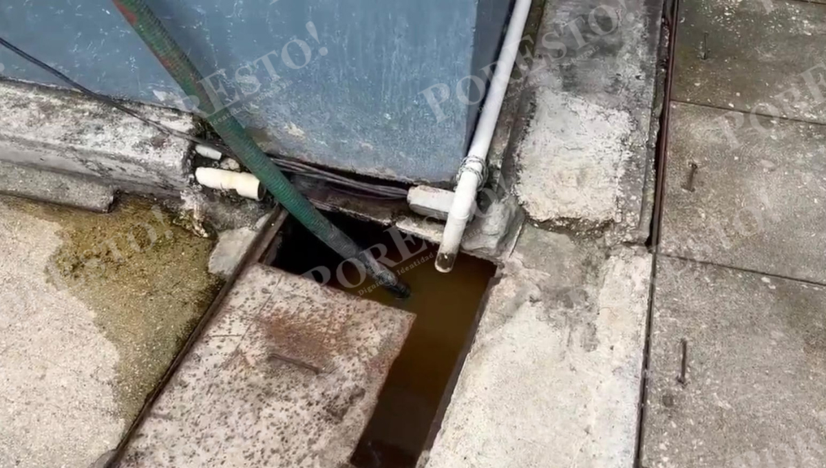 Consideran que la situación representa un riesgo sanitario y económico para los comerciantes. Consideran que la situación representa un riesgo sanitario y económico para los comerciantes.