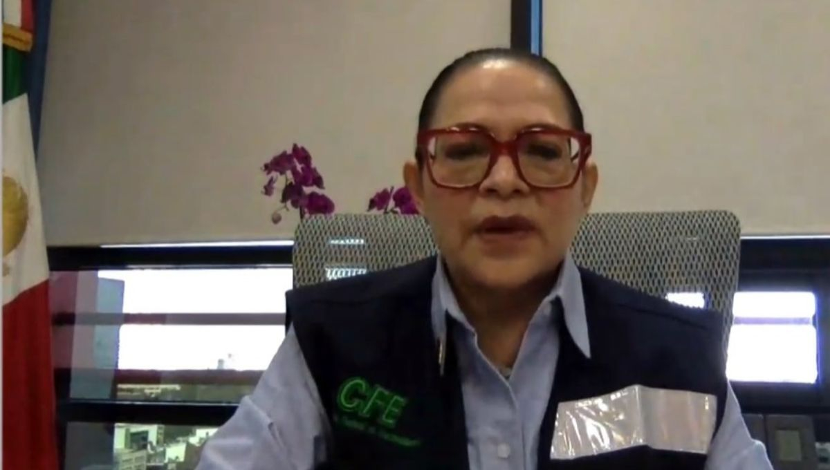 Emilia Calleja Alor, directora de la Comisión Federal de Electricidad (CFE)