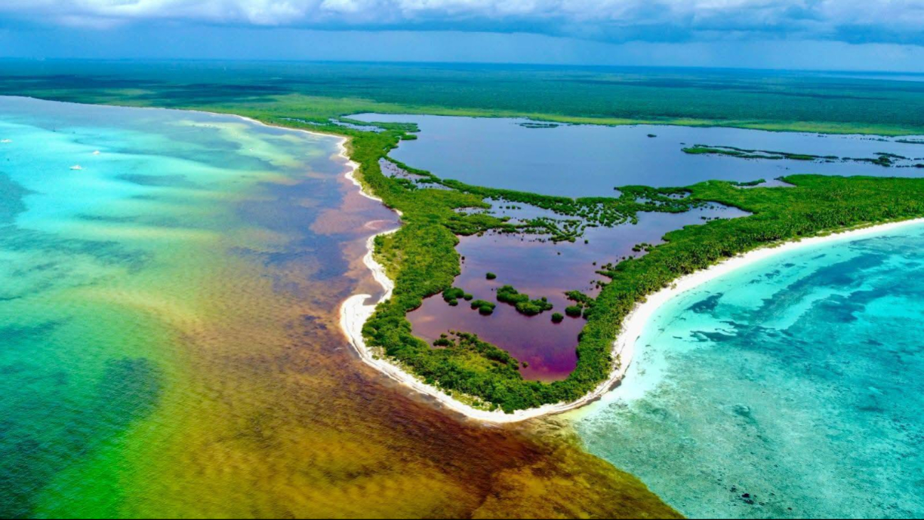 ¿Laguna de Cozumel con aguas rojas? Especialistas revelan el secreto detrás de su peculiar color