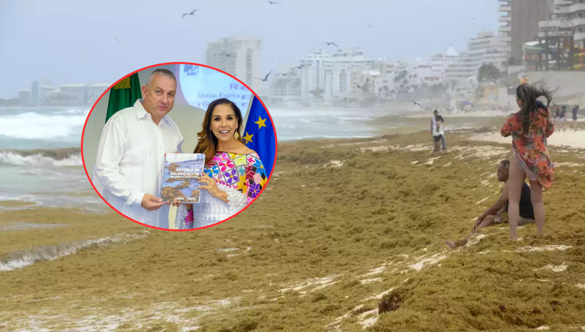 Europa y Quintana Roo se unen para convertir el sargazo en energía limpia Europa y Quintana Roo se unen para convertir el sargazo en energía limpia