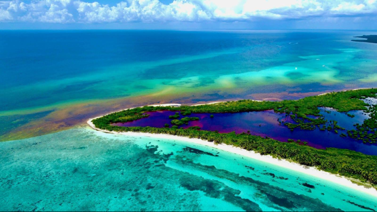 Expertos descartaron  que en la parte sur  de la isla prolifere la  contaminación