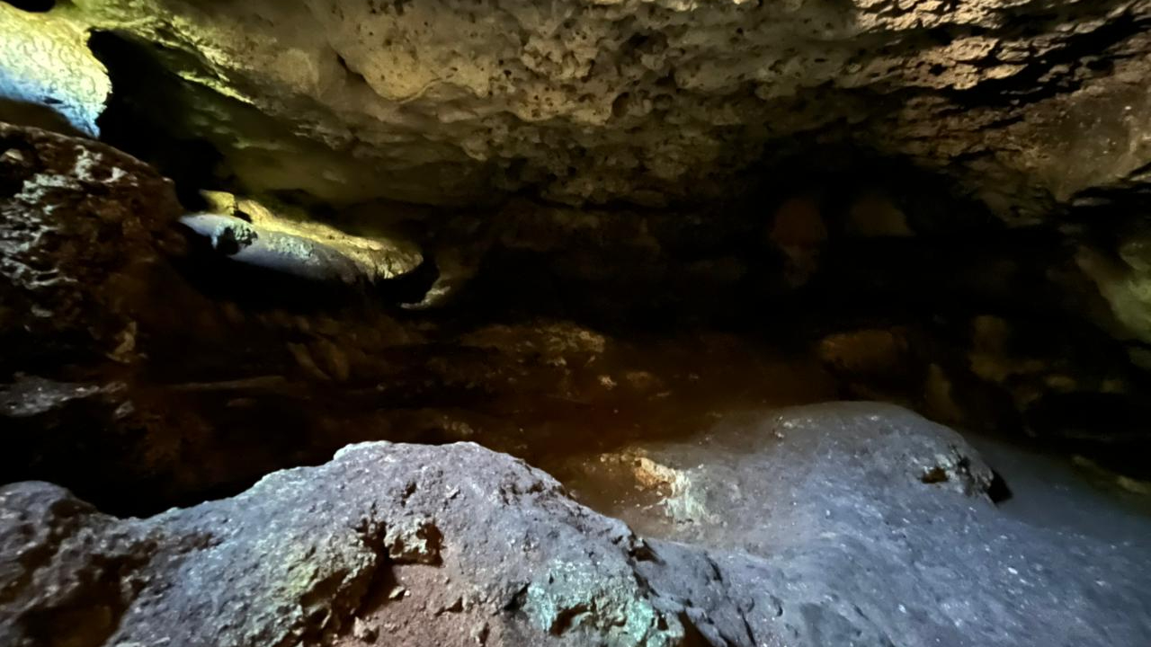 Interior del cenote Pikitbeh II Interior del cenote Pikitbeh II
