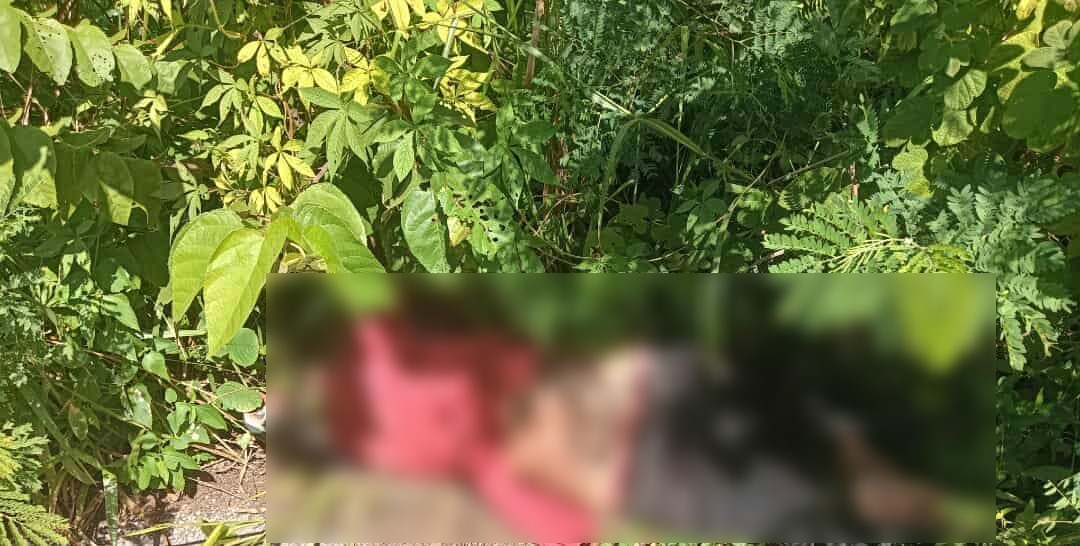 Resultó que Bartolo se quedó tirado y dormido a un costado de la carretera del periférico de Buctzotz. Resultó que Bartolo se quedó tirado y dormido a un costado de la carretera del periférico de Buctzotz.