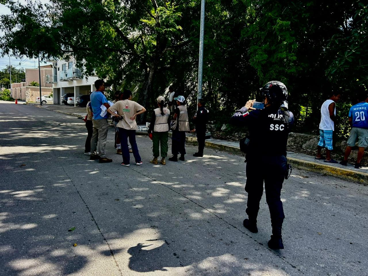 Venado es rescatado por vecinos de la Colonia Ejidal de Playa del Carmen