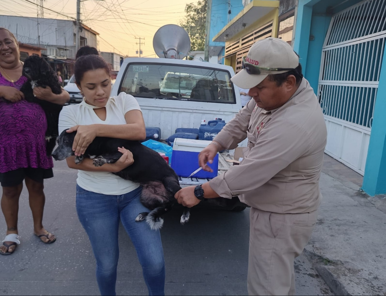 La Secretaría de Salud de Campeche realizará este jueves 16 de octubre una jornada intensiva de vacunación antirrábica para perros y gatos. La Secretaría de Salud de Campeche realizará este jueves 16 de octubre una jornada intensiva de vacunación antirrábica para perros y gatos.