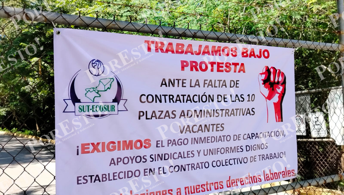 Trabajadores de Ecosur denuncian estrés laboral y acoso que afecta su salud física y mental. Trabajadores de Ecosur denuncian estrés laboral y acoso que afecta su salud física y mental.
