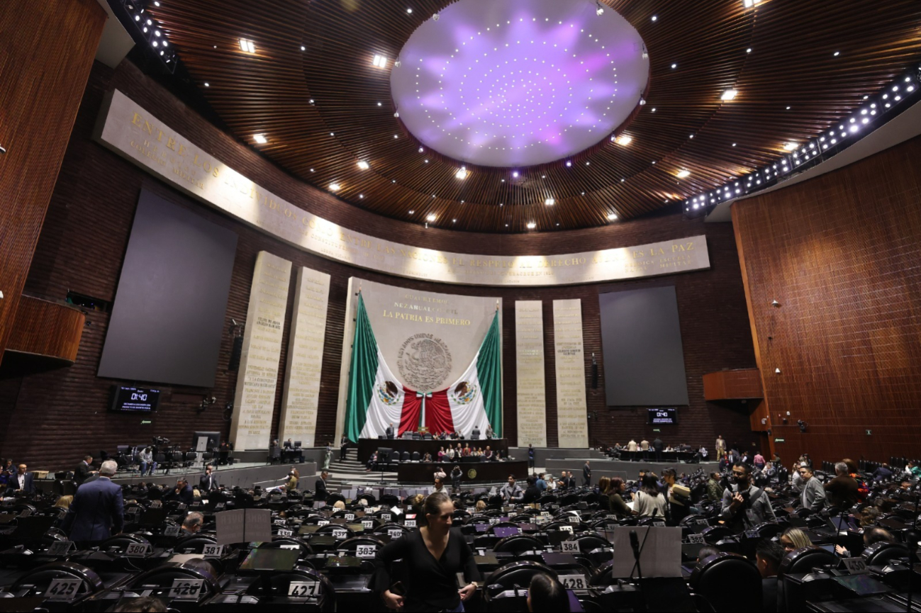 Se aprobó en la Cámara de Diputados la Ley del IEPS. Se aprobó en la Cámara de Diputados la Ley del IEPS.