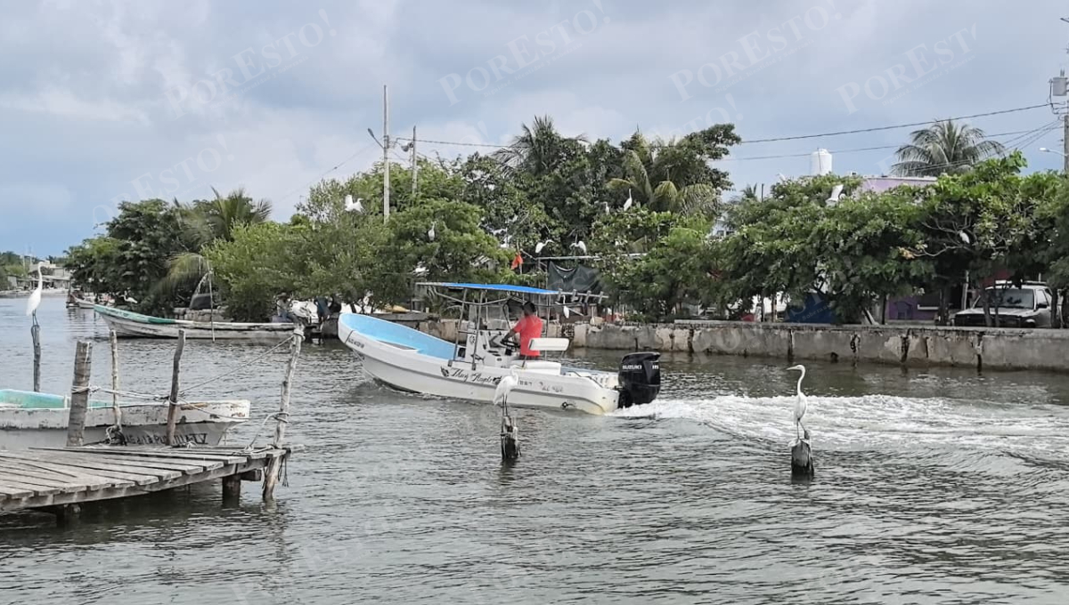 Se levanta la veda, pero la pesca sigue escasa