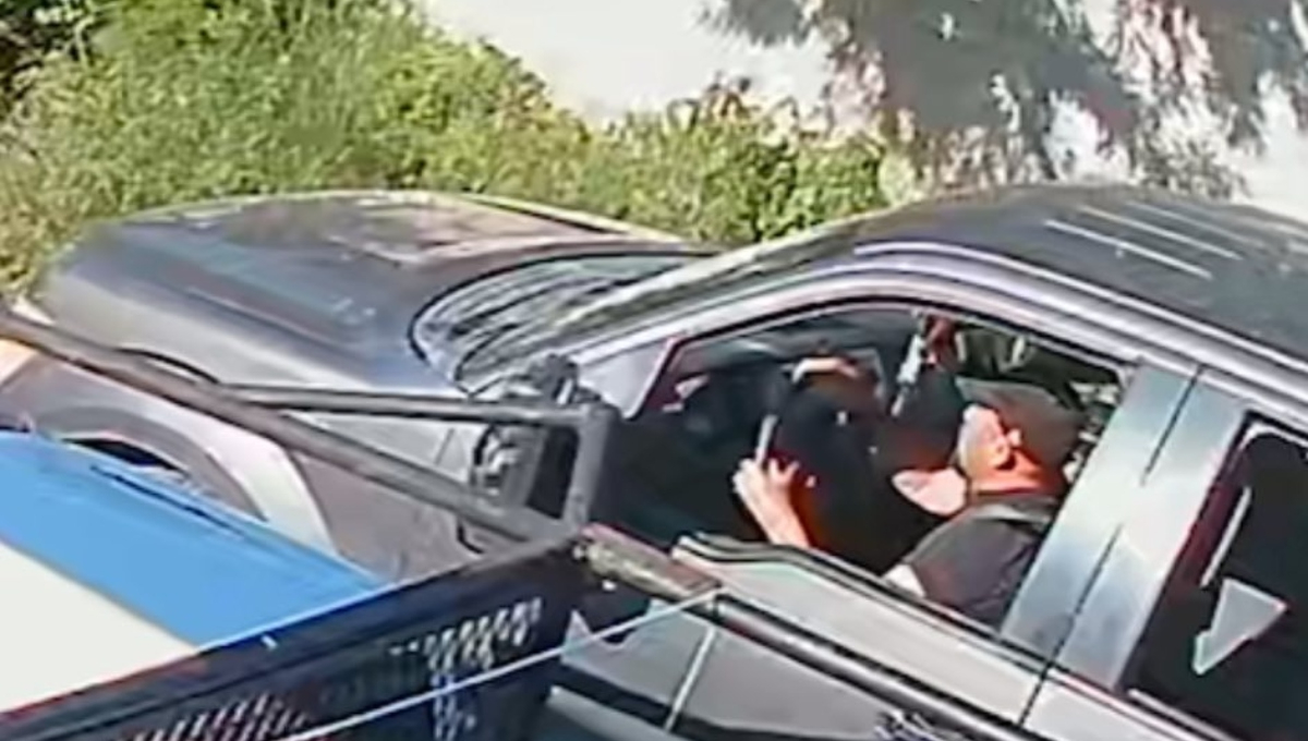 El conductor de la camioneta atropelló intencionalmente a un perro en Sitpach El conductor de la camioneta atropelló intencionalmente a un perro en Sitpach
