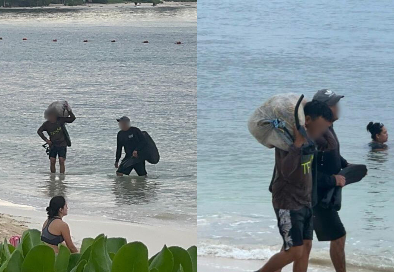 El denunciante precisó que todos los días hay diferentes tipos de especies marinas que están siendo afectados por la pesca furtiva