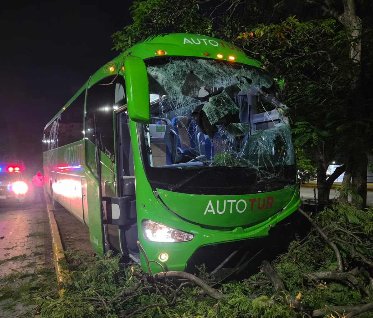 Un camión de transporte público se salió del camino y chocó contra árboles en la avenida Tulum. Un camión de transporte público se salió del camino y chocó contra árboles en la avenida Tulum.