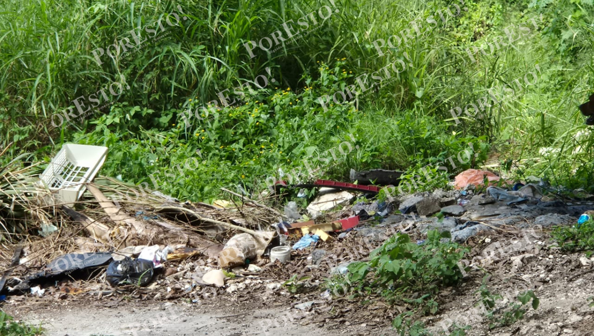 Denuncian riesgo sanitario por lote baldío en colonia de Champotón Denuncian riesgo sanitario por lote baldío en colonia de Champotón