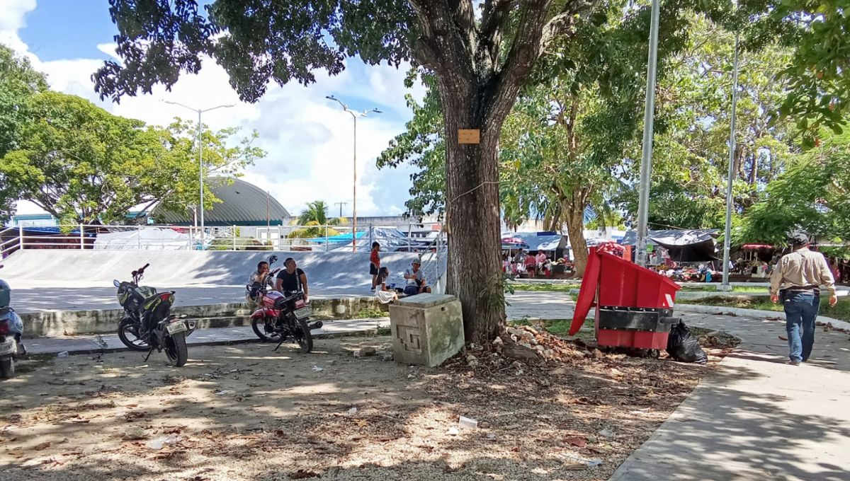 Señalan ausencia policiaca en la colonia Forjadores de Chetumal Señalan ausencia policiaca en la colonia Forjadores de Chetumal