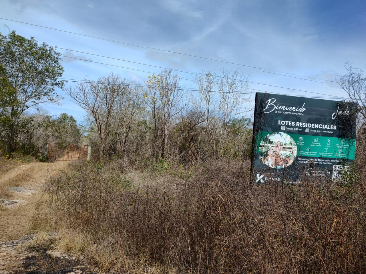 Ambientalistas acusan a inmobiliarias  de afectar la flora y fauna de la región
