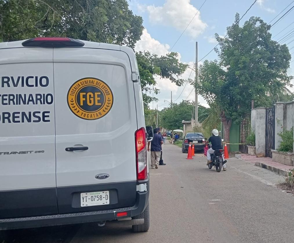 Perrita es atacada a las puertas de la vivienda de sus dueños en el barrio de Mejorada en Ticul