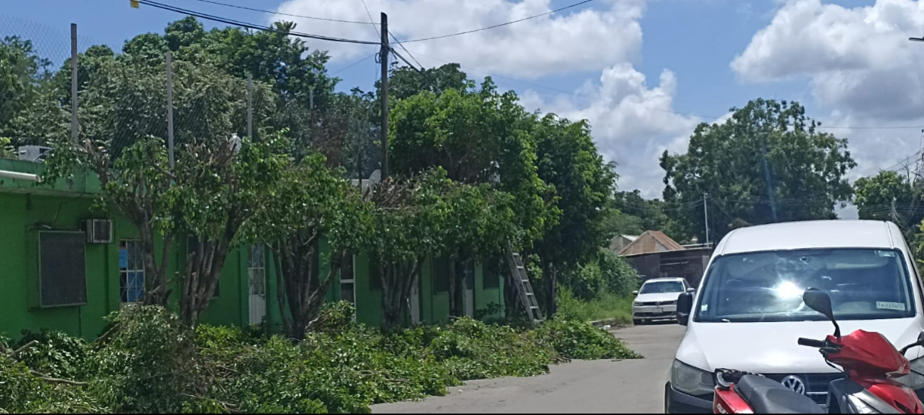 A un día de tragedia en Miguel Hidalgo, denuncian nuevo caso de riesgo eléctrico en colonia de Joaquín Guevara