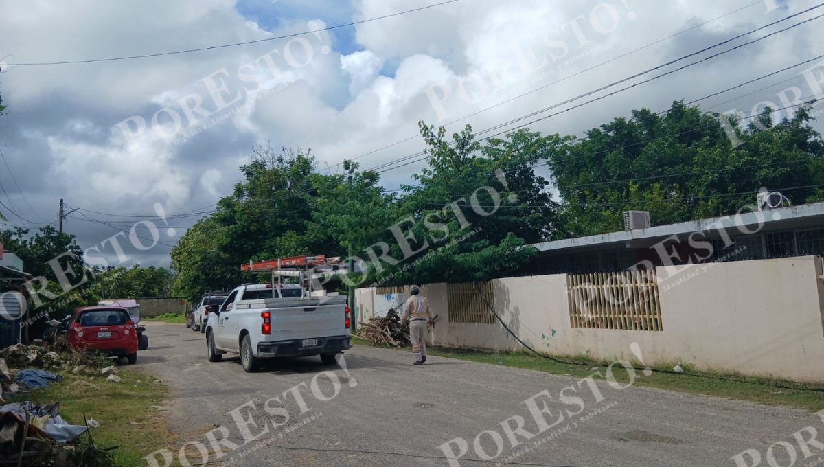 En Escárcega, ramas de un árbol provocaron un corto circuito en cables de la CFE. En Escárcega, ramas de un árbol provocaron un corto circuito en cables de la CFE.