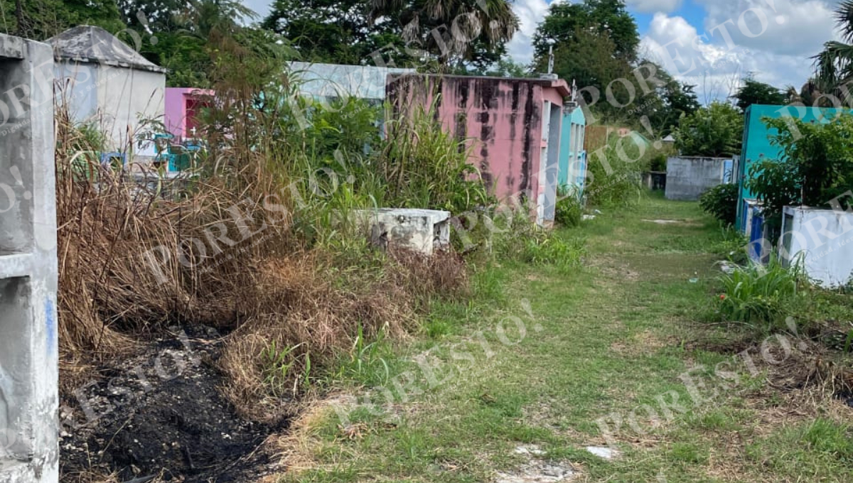 Las lluvias recientes agravaron el deterioro y el problema del mosquito. Las lluvias recientes agravaron el deterioro y el problema del mosquito.