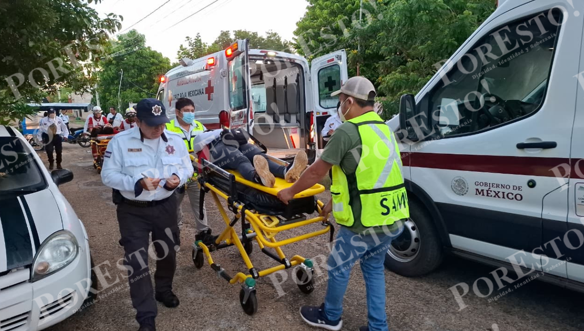 El perro responsable del percance huyó del lugar y no se conoce a su dueño. El perro responsable del percance huyó del lugar y no se conoce a su dueño.