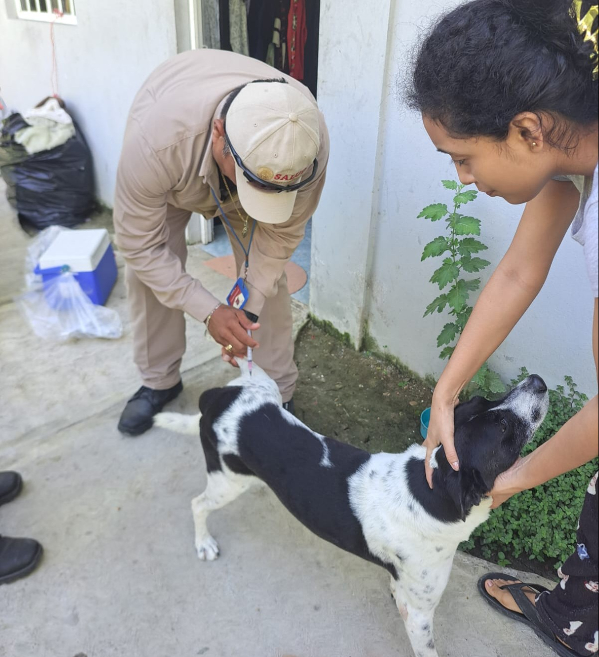 Este miércoles 22 de octubre de 2025 se realizará en Campeche la jornada estatal de vacunación antirrábica para perros y gatos. Este miércoles 22 de octubre de 2025 se realizará en Campeche la jornada estatal de vacunación antirrábica para perros y gatos.