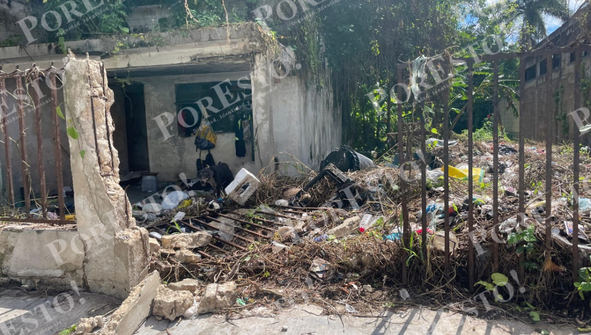 Los colonos aseguran que el lugar representa un riesgo sanitario y de seguridad, pues ya se han registrado robos y vandalismo. Los colonos aseguran que el lugar representa un riesgo sanitario y de seguridad, pues ya se han registrado robos y vandalismo.
