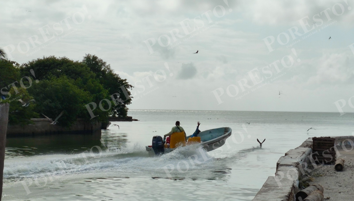 Pescadores ribereños de Ciudad del Carmen mantienen poco optimismo pese al levantamiento de la veda del camarón. Pescadores ribereños de Ciudad del Carmen mantienen poco optimismo pese al levantamiento de la veda del camarón.