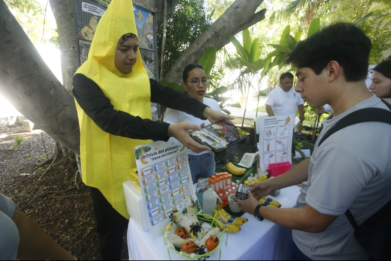 Se tienen más de 80 actividades en la Casa Abierta del CICY en Mérida