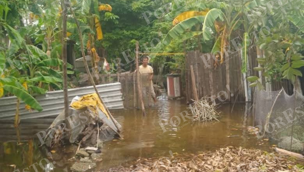 El incremento en la Laguna del Pom y Laguna de Términos es un fenómeno natural de temporada, según Romeo Reyes Hernández. El incremento en la Laguna del Pom y Laguna de Términos es un fenómeno natural de temporada, según Romeo Reyes Hernández.