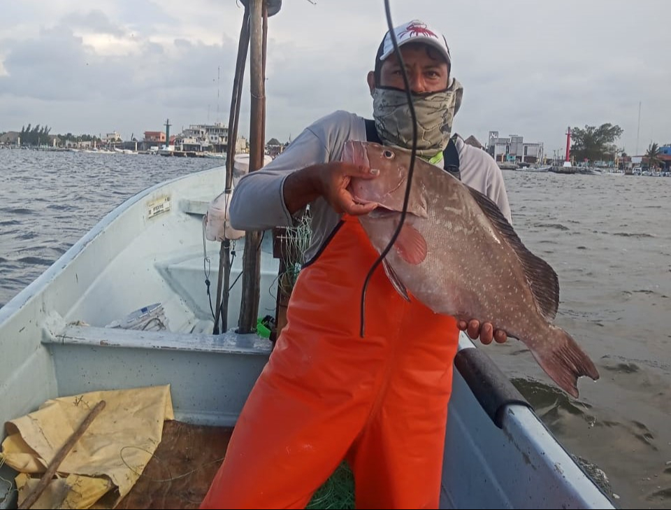 Biosfera Ría Lagartos, un tesoro marino: detectan importante diversidad de peces de alto valor ecológico y económico
