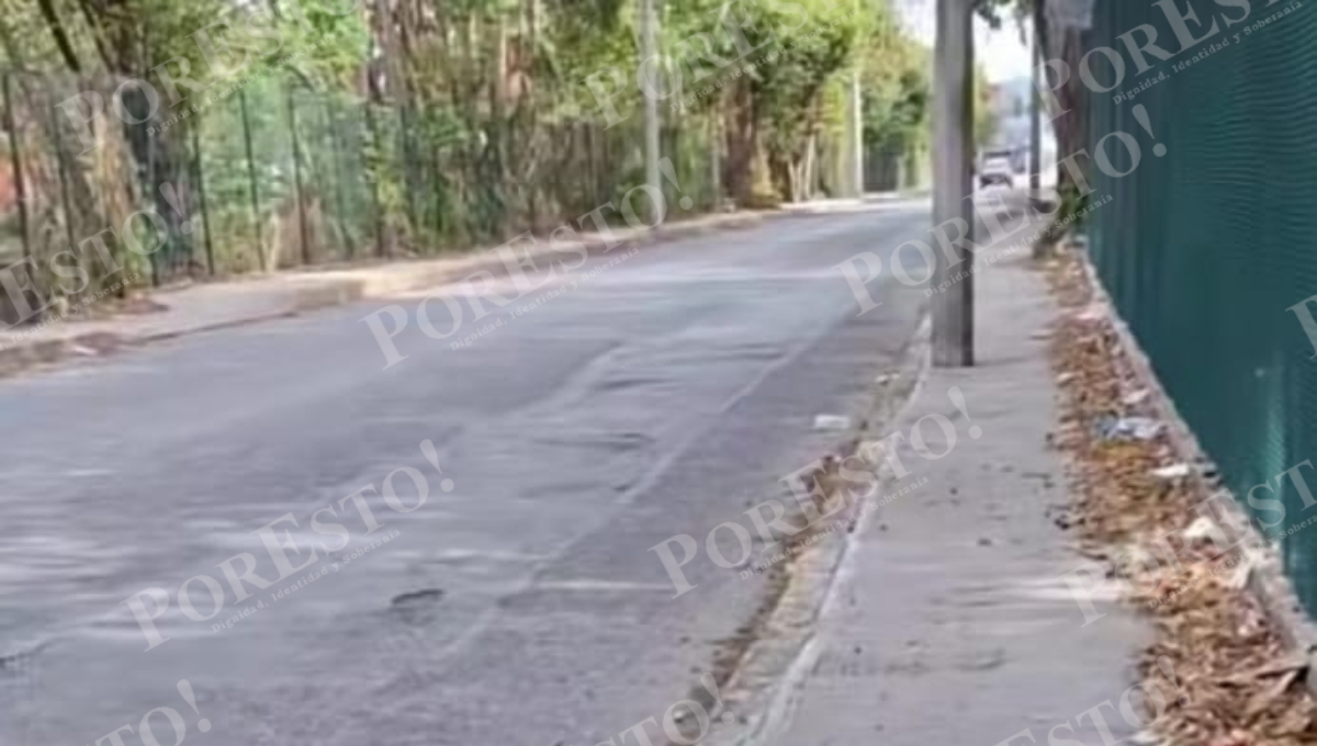 Expansión urbana pone en riesgo a iguanas y tortugas en Ciudad del Carmen Expansión urbana pone en riesgo a iguanas y tortugas en Ciudad del Carmen