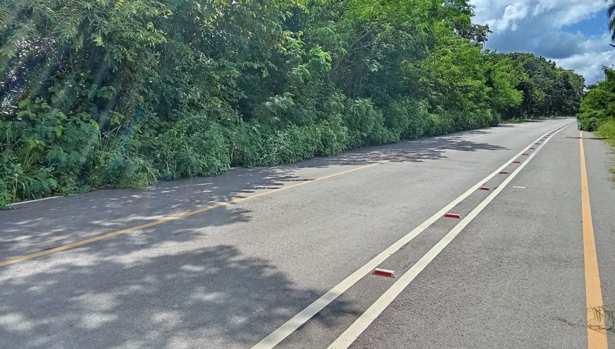 El Ayuntamiento de Othón P. Blanco abandona la limpieza de las carreteras que interconectan Raudales con Laguna Guerrero El Ayuntamiento de Othón P. Blanco abandona la limpieza de las carreteras que interconectan Raudales con Laguna Guerrero