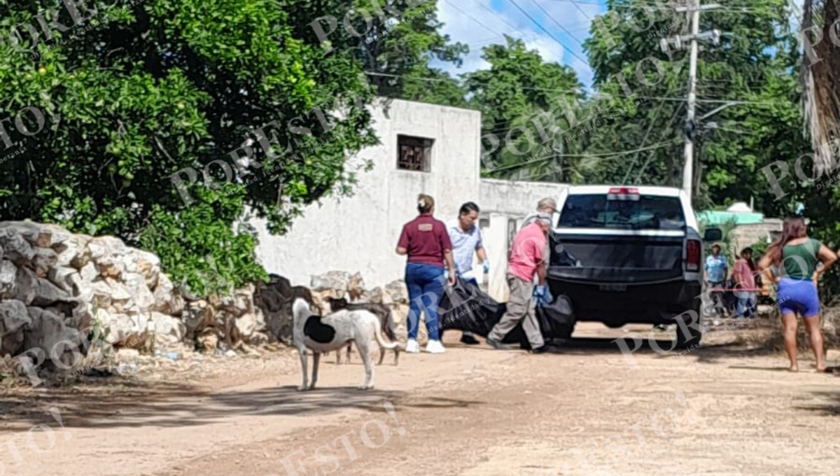 La comunidad de Santa Cruz se encuentra consternada por el repentino fallecimiento de don “Panchito”. La comunidad de Santa Cruz se encuentra consternada por el repentino fallecimiento de don “Panchito”.