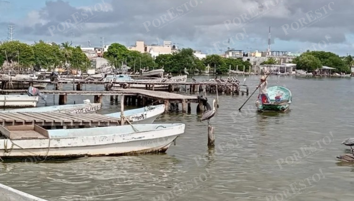 PACMA reactiva entregas en El Carmen: aumentan apoyo anual a 23 millones PACMA reactiva entregas en El Carmen: aumentan apoyo anual a 23 millones