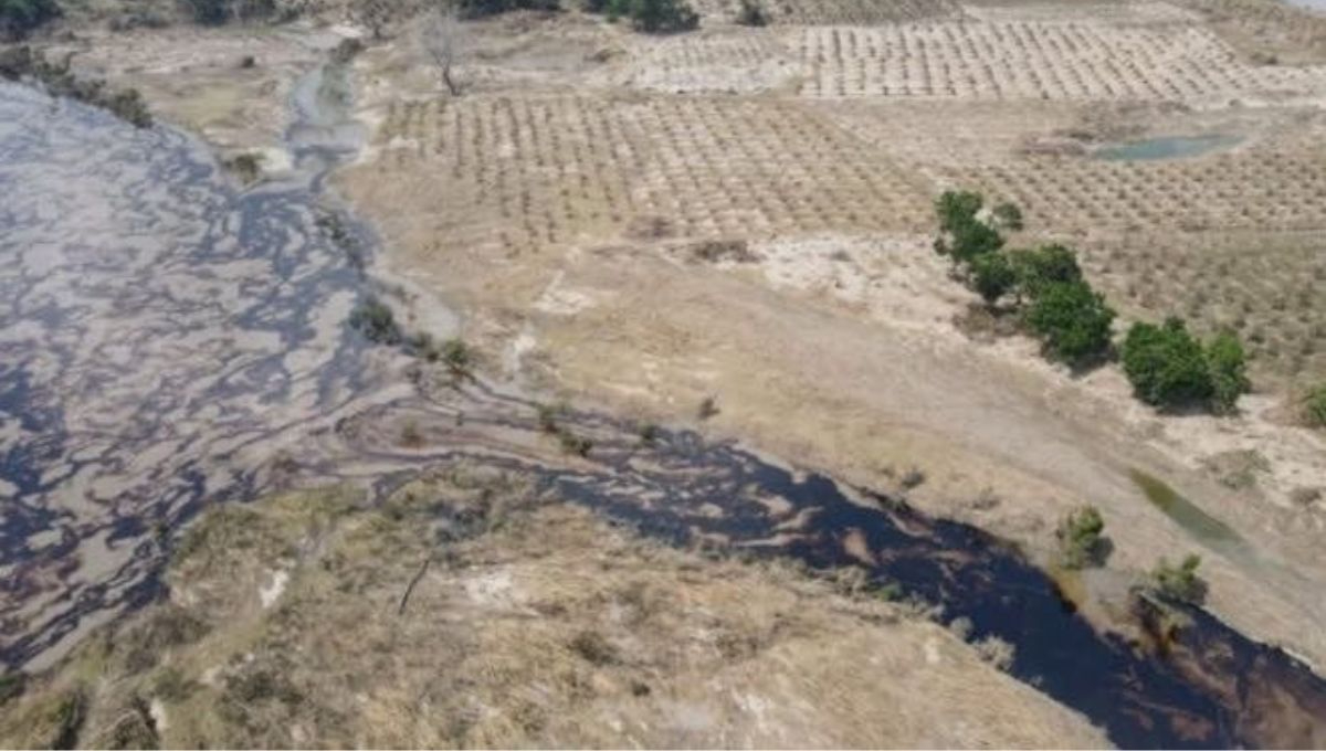 Se han instalado 22 barreras marinas y 230 cordones oleofílicos para evitar la dispersión del crudo en cuerpos de agua y manglares cercanos Se han instalado 22 barreras marinas y 230 cordones oleofílicos para evitar la dispersión del crudo en cuerpos de agua y manglares cercanos