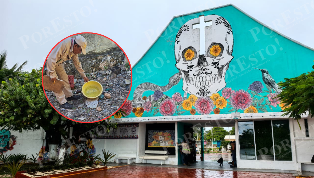 Aunque los casos de dengue en Campeche han disminuido 92% respecto al año pasado, la Secretaría de Salud reforzará las acciones de combate al mosco Aunque los casos de dengue en Campeche han disminuido 92% respecto al año pasado, la Secretaría de Salud reforzará las acciones de combate al mosco