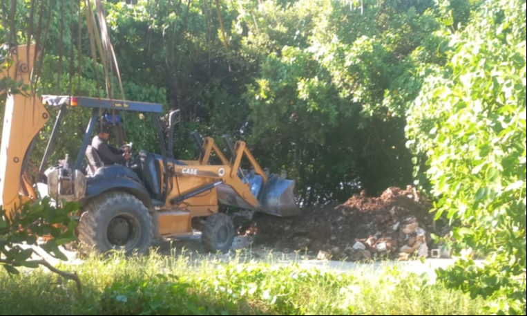 Habitantes de Sisal acusan al comisario municipal de la destrucción de manglar en zona protegida Habitantes de Sisal acusan al comisario municipal de la destrucción de manglar en zona protegida