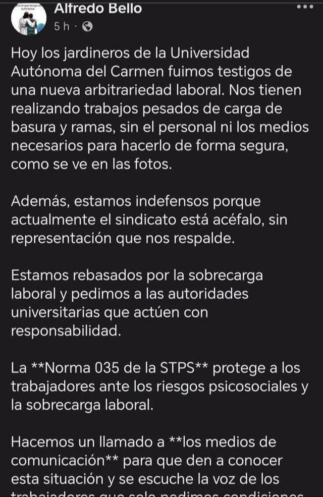 Los jardineros advirtieron que están expuestos a accidentes graves por la falta de guantes, cascos y uniformes. Los jardineros advirtieron que están expuestos a accidentes graves por la falta de guantes, cascos y uniformes.