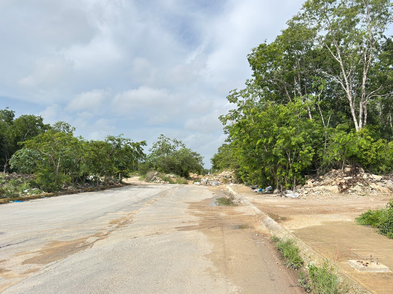 Advierten que los asentamientos irregulares contaminan cuevas y cenotes de la Riviera Maya Advierten que los asentamientos irregulares contaminan cuevas y cenotes de la Riviera Maya