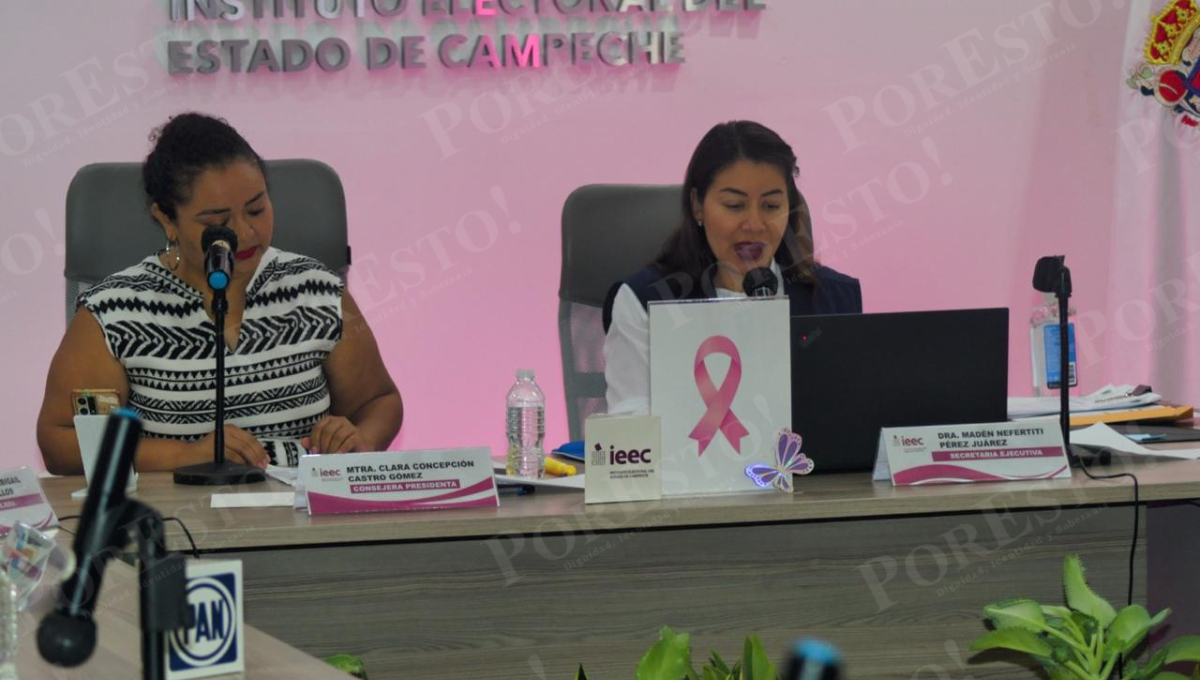 El PAN buscaba que el Órgano Interno de Control indagara si hubo vulneración de derechos hacia Novelo Solís El PAN buscaba que el Órgano Interno de Control indagara si hubo vulneración de derechos hacia Novelo Solís
