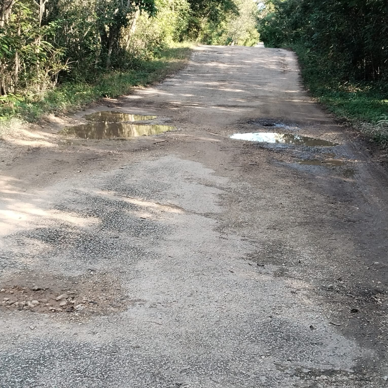 Los aguaceros causaron la pérdida de pavimento, se formen charcos y lodazales