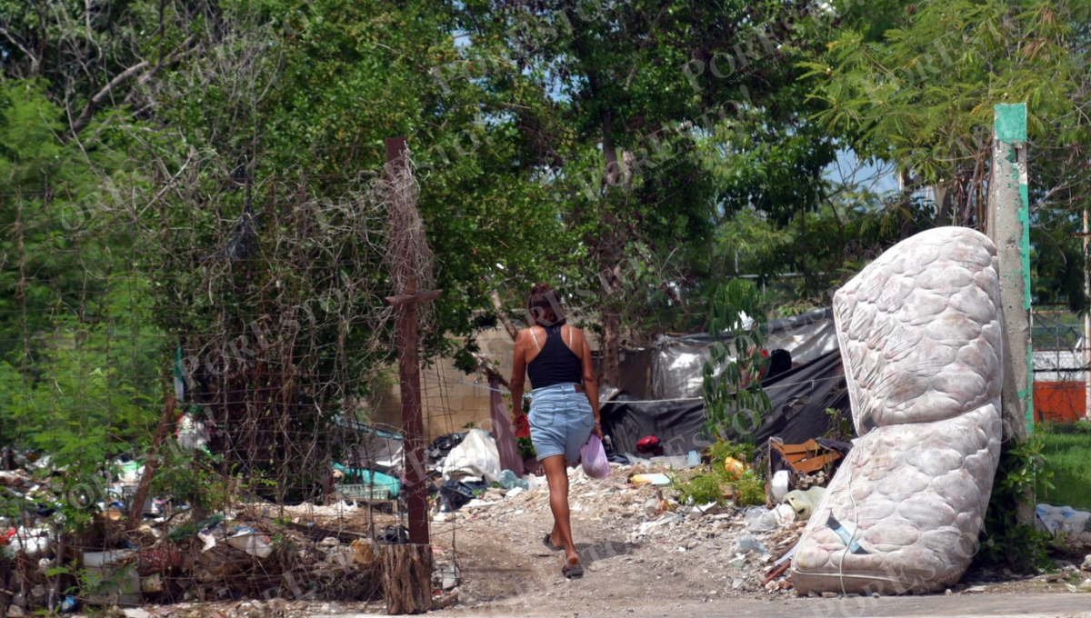 Personas sin hogar rechazan albergue: SEIN insiste en atención voluntaria Personas sin hogar rechazan albergue: SEIN insiste en atención voluntaria