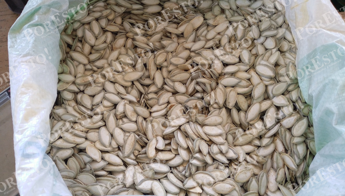 Sin un mercado estable, los intermediarios dominan la compra-venta y dejan a los campesinos con mínimas ganancias. Sin un mercado estable, los intermediarios dominan la compra-venta y dejan a los campesinos con mínimas ganancias.