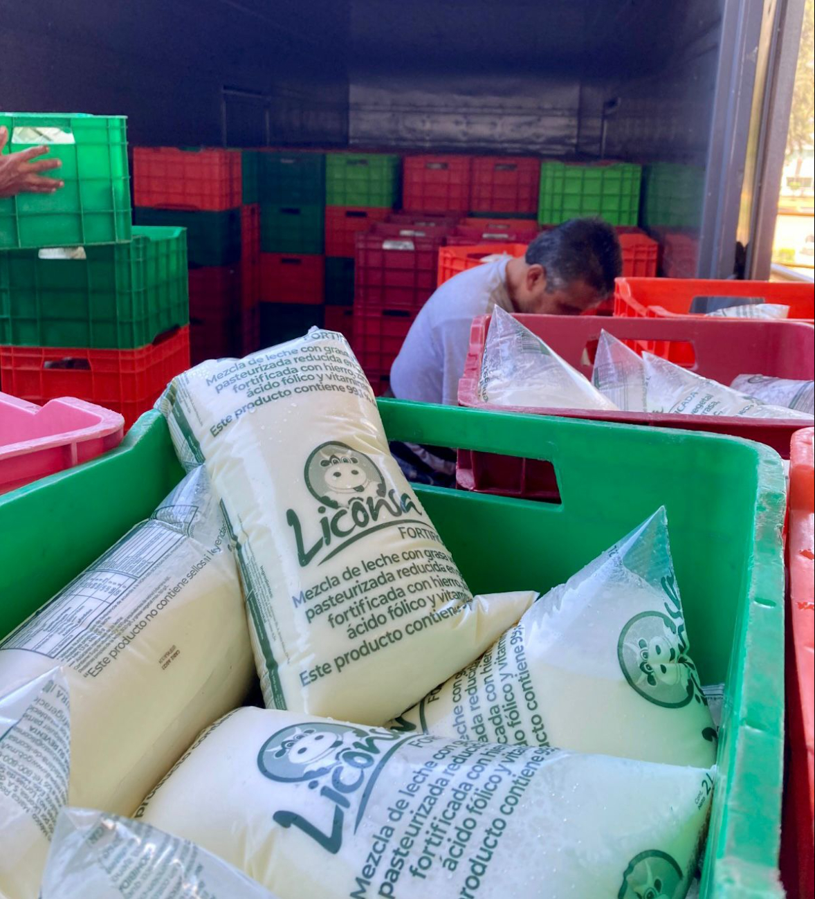 Productores y queserías: el equipo que alimenta a Campeche Productores y queserías: el equipo que alimenta a Campeche