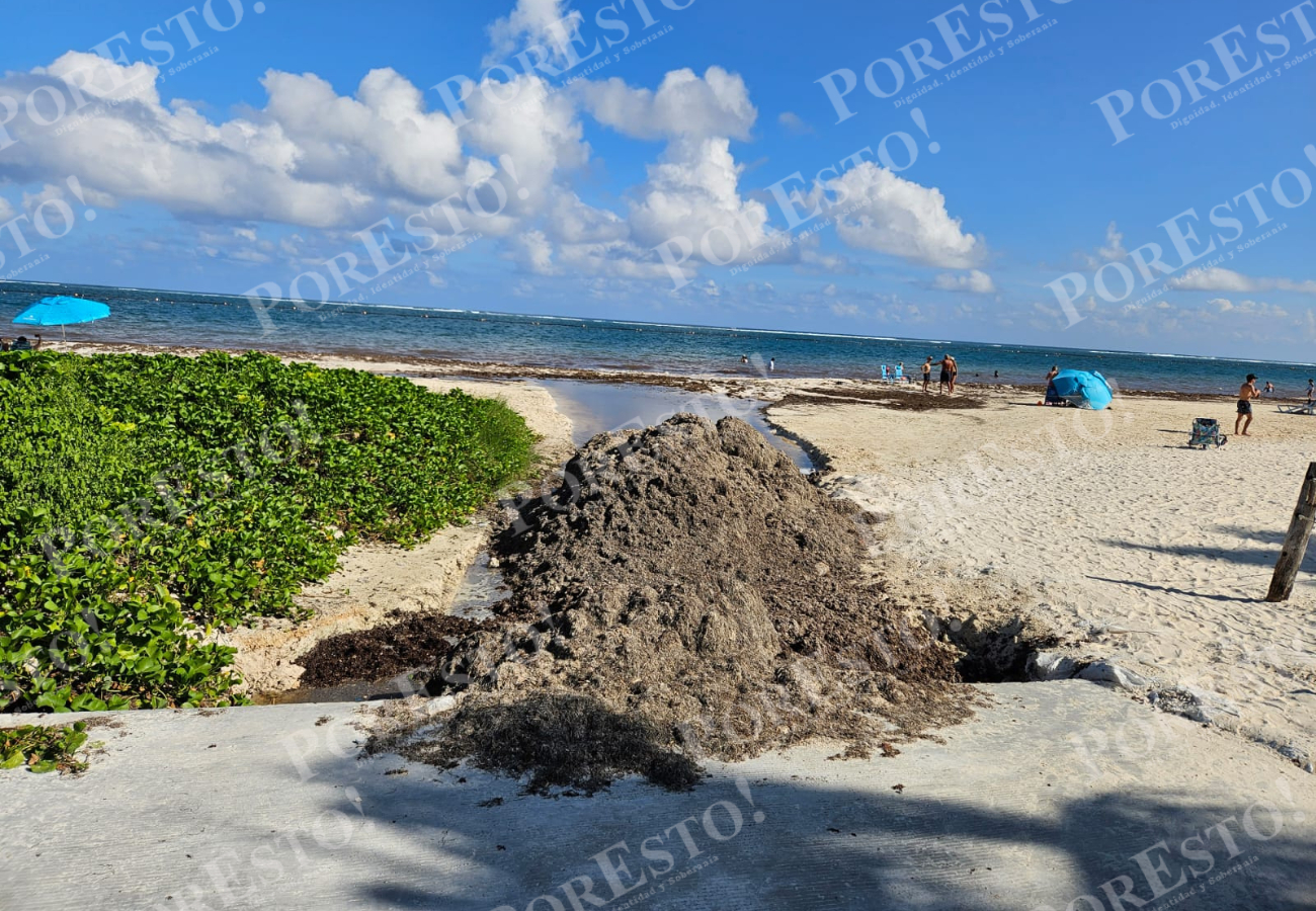 El acceso a la playa en la calle Plutarco Elías fue cubierto con sargazo como medida temporal ante la pérdida de arena El acceso a la playa en la calle Plutarco Elías fue cubierto con sargazo como medida temporal ante la pérdida de arena